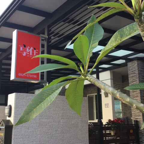 台東 享住 民宿