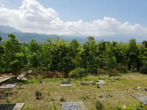 台東關山桃花心木景觀民宿 7