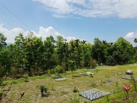 台東關山桃花心木景觀民宿 8