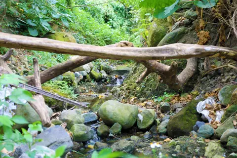 園區景觀
