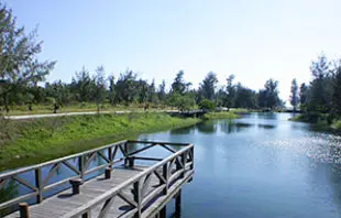 台東森林公園