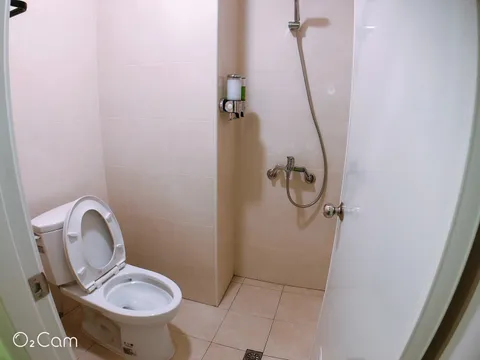 格林薇依 黃金年代