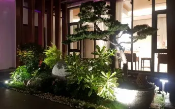璞草行旅 照片 5