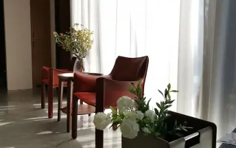 璞草行旅 13