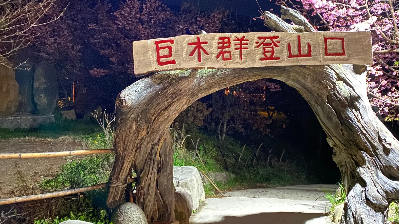 尖石景點：司馬庫斯巨木群步道