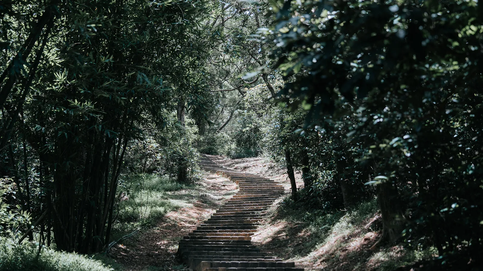 新埔景點：文山步道