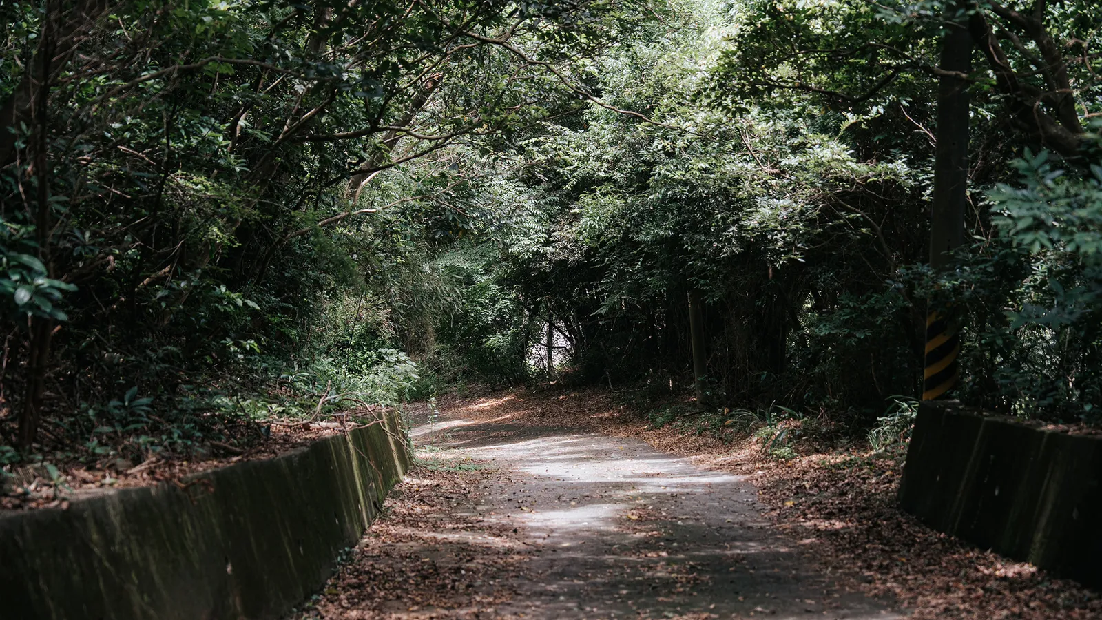 湖口景點：漢卿步道