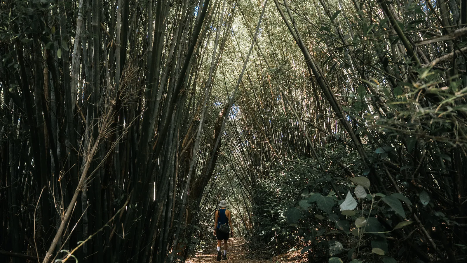 芎林景點：三段崎古道