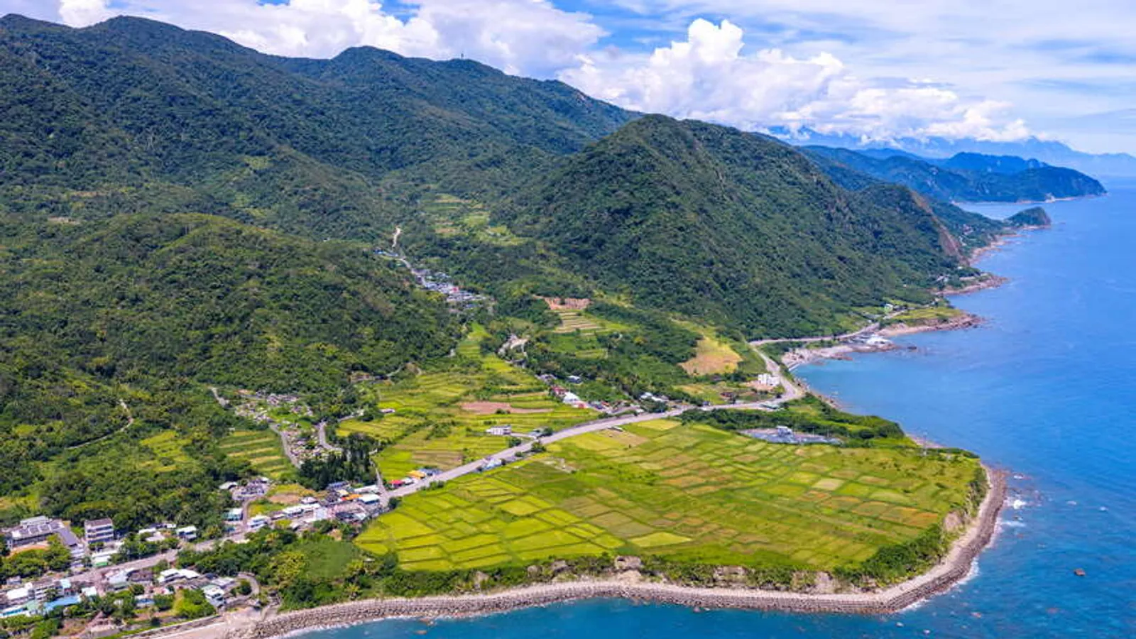 豐濱景點:新社梯田