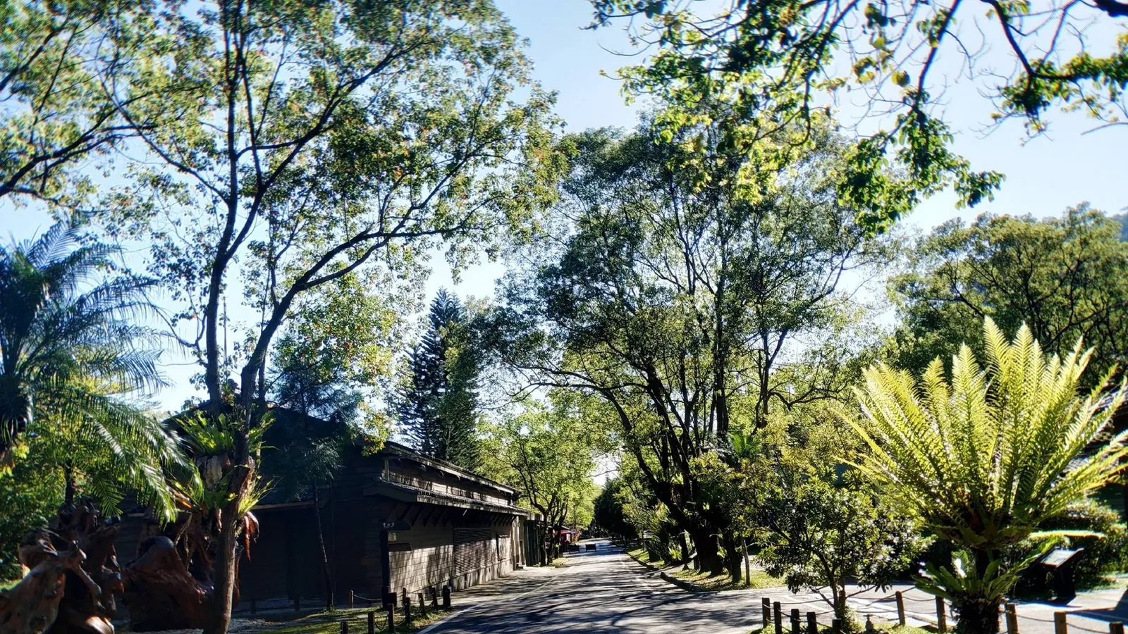鳳林景點:林田山林業文化園區