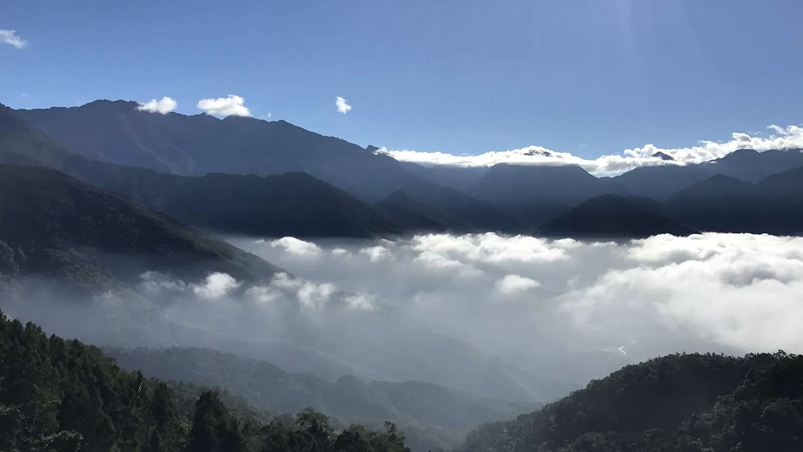 桃源景點:藤枝國家森林遊樂區