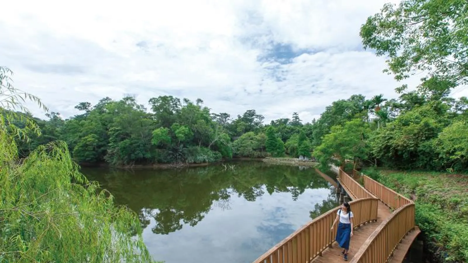 三灣景點:銅鏡山林步道