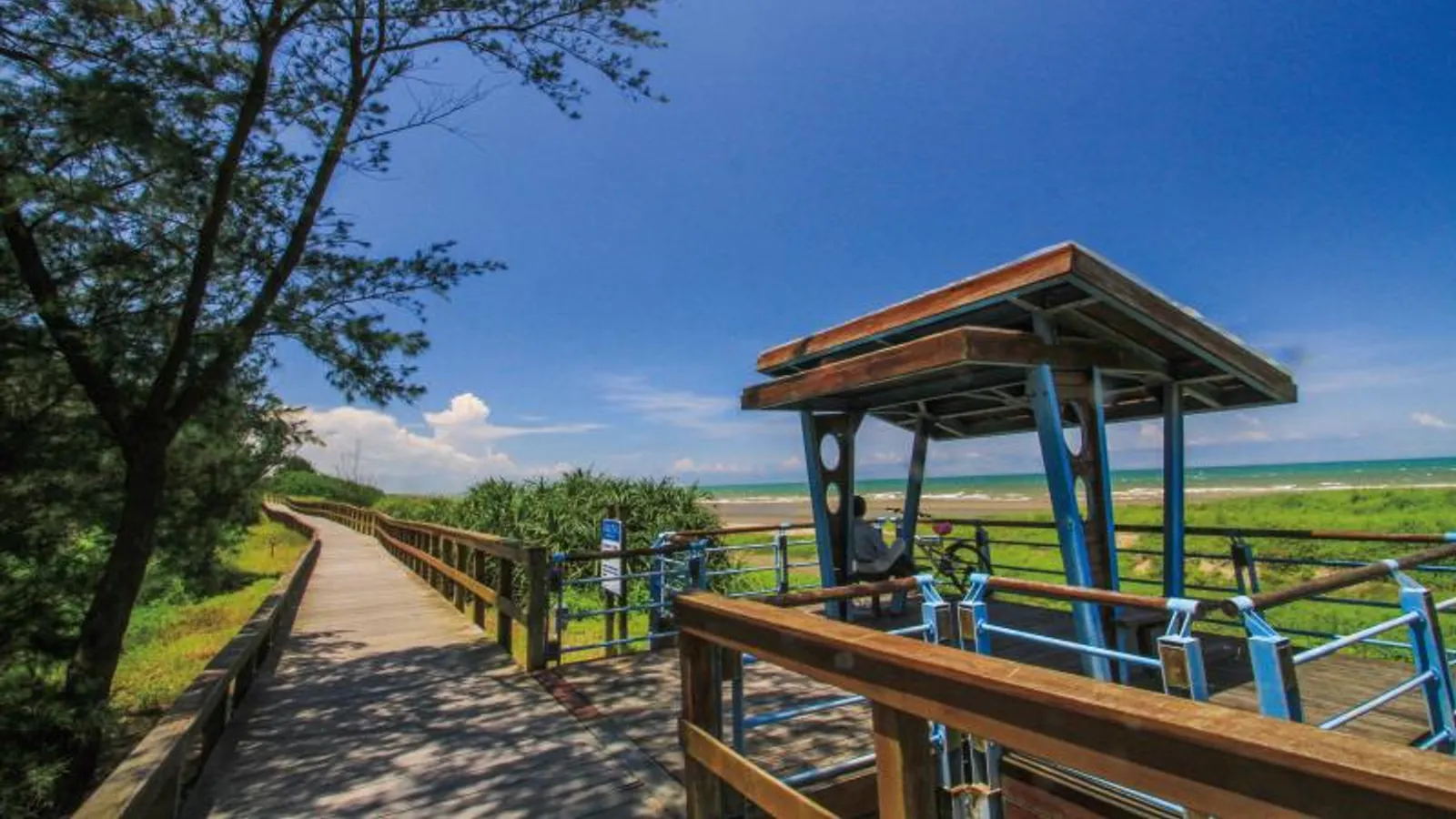 竹南景點：濱海森林公園