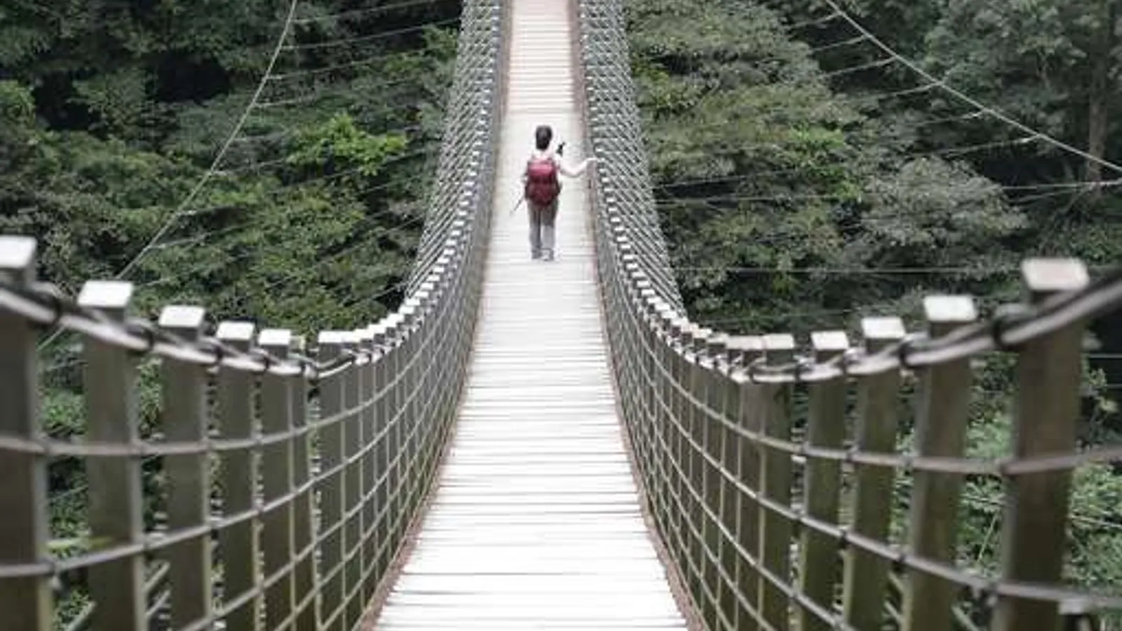 竹山景點:竹山天梯風景區(梯子吊橋)