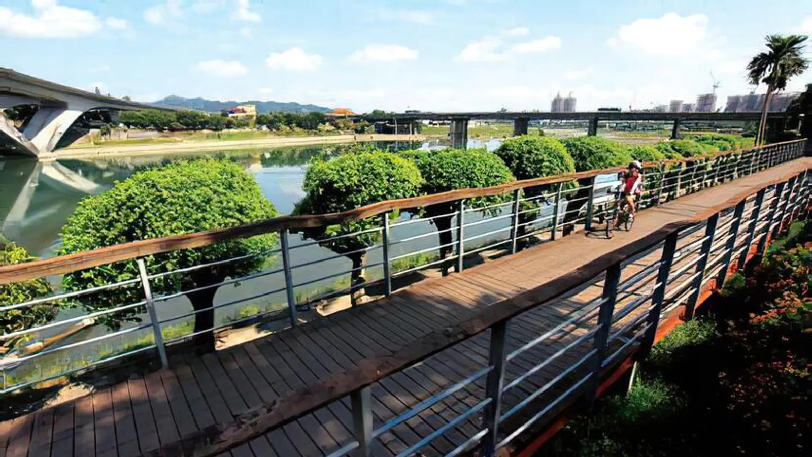 新店景點：新店溪自行車道