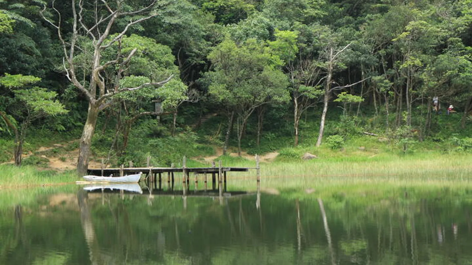 汐止景點:新山夢湖