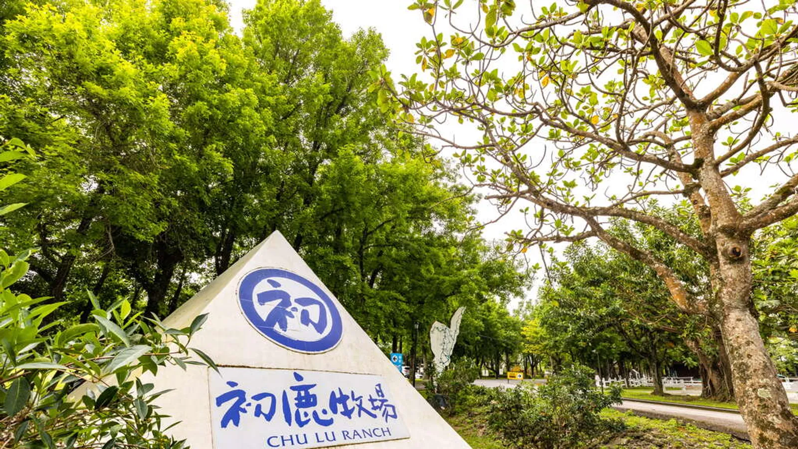 卑南景點:初鹿牧場