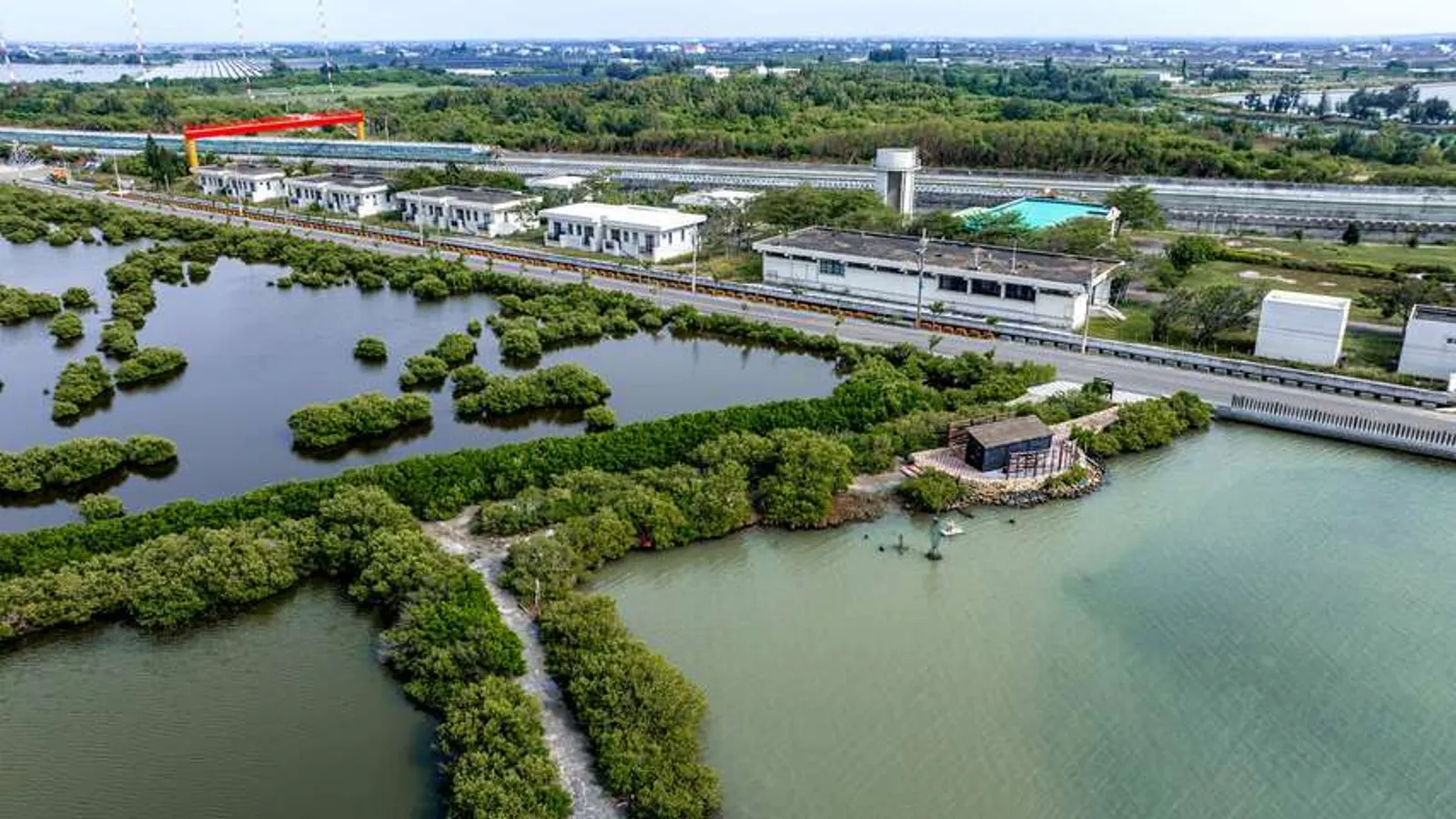 口湖景點:湖口濕地